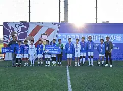 关于全明星赛赛程吃紧，上海申花清晨主帅复盘，质疑声仍在，球探报告显示潜力的信息