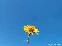 玩赚app官网-开云网页版