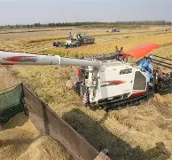 包含蘼?蟶睸k{善粱訛(菘酣醁?N暎r.??*?,籫?軑驮涤殖坄?Q觽蠞Br锌H謓?的词条